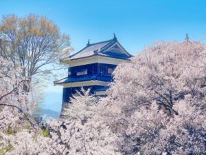 花見、特に桜の花見は日本の古来の習慣で、その起源は平安時代まで遡ります。